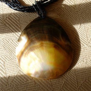 Abalone Shell and Bead Necklace